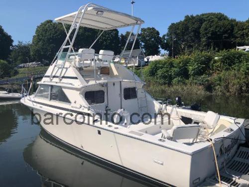 Bertram 28 Hardtop ficha técnica y opiniones
